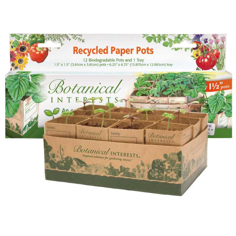 Recycled  Paper Pots Small - Pack of 12