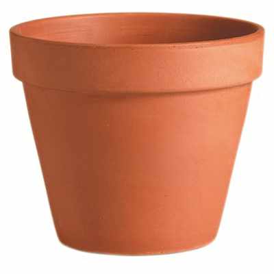 traditional flower pot in terra cotta clay