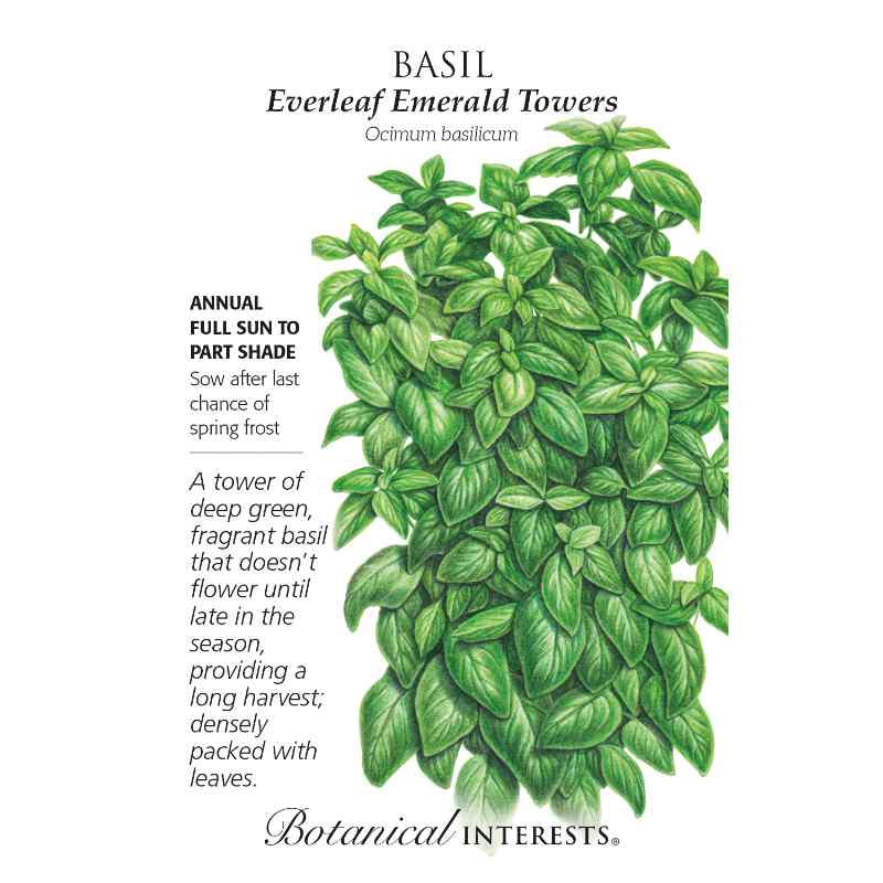image of seed packet with drawing of a large basil plant, covered with oblong pointed green leaves with dark veining.  logo and seed info in black type