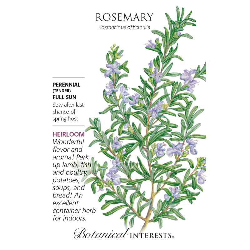 seed pack with drawing of rosemary plant in bloom