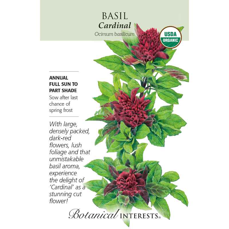 seed pack with drawing of basil plants with deep red blooms