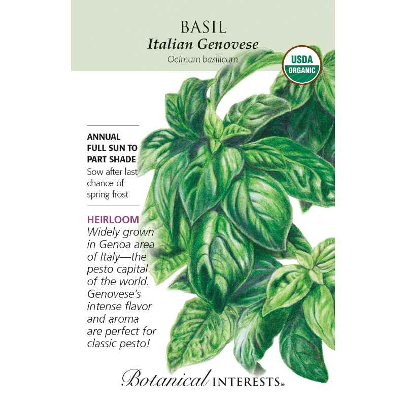 Seed pack with drawing of genovese basil plant