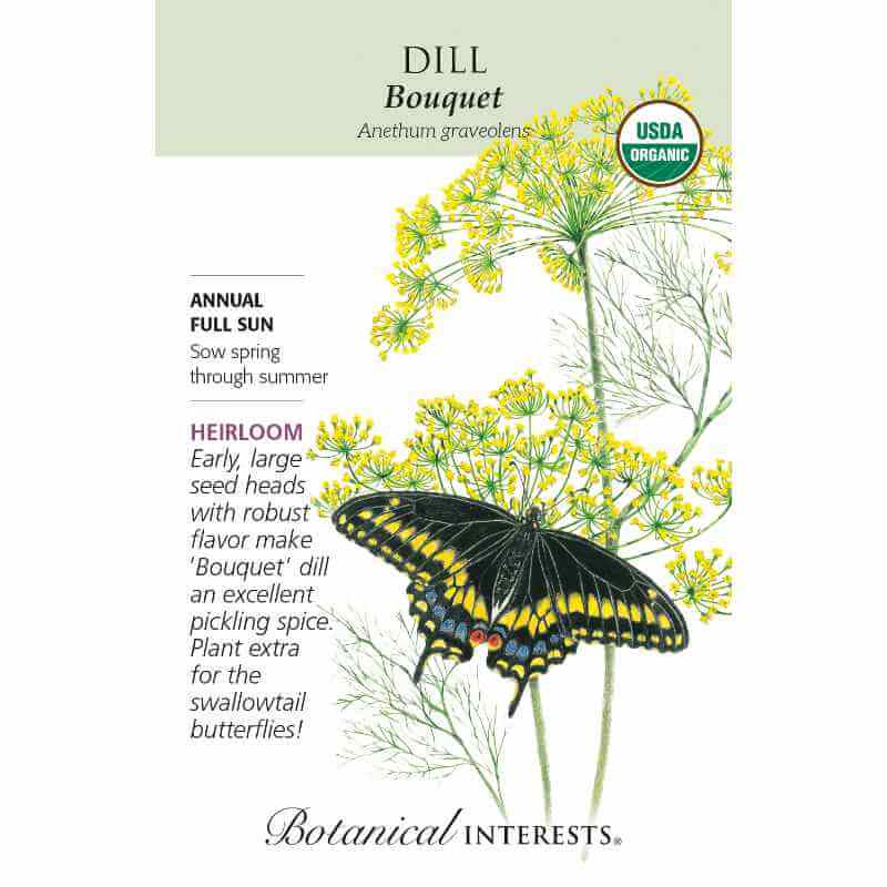 image of seed packet with drawing of two dill plants, with tall thin stems and multiple thin sprays at the top with tiny yellow blooms.  Drawing of a butterfly in front of plants.  logo and seed info in black type.  USDA organic logo in upper right corner