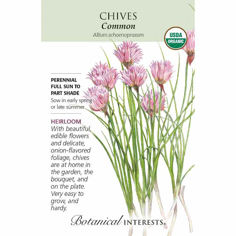 image of seed packet with drawing of several chive plants with tall green spikes and pink blossoms with thin petals on top.  logo and seed info in black type.  USDA organic logo in upper right corner