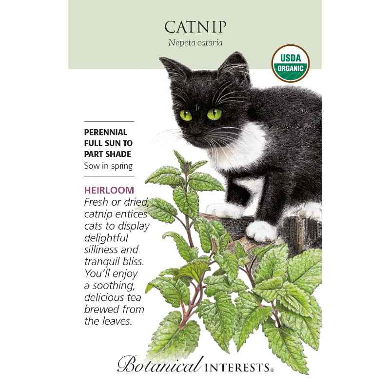 seed packet with drawing of catnip plant and a black and white cat