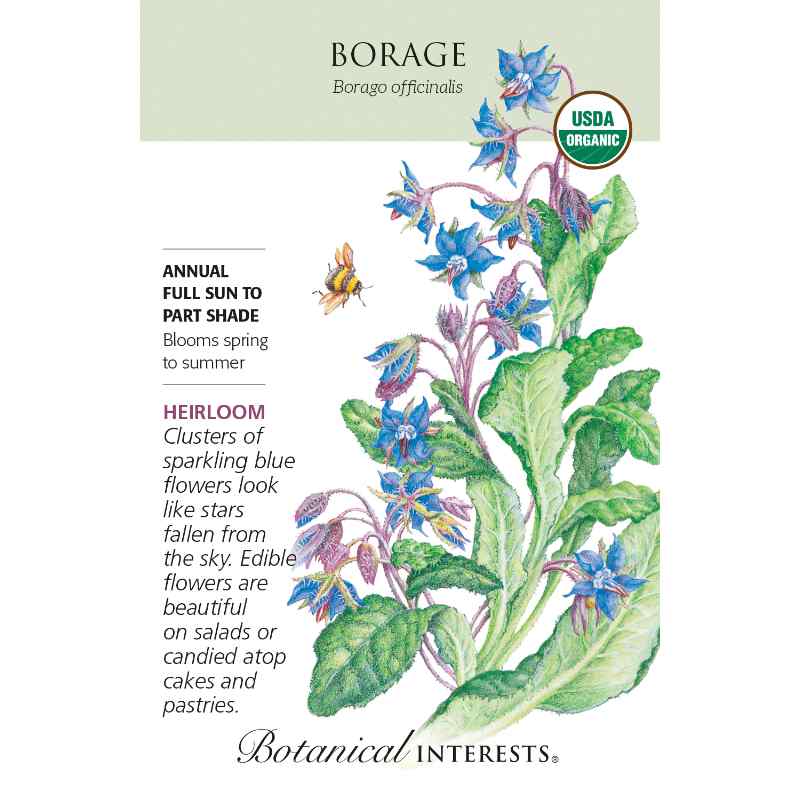 seed pack with drawing of borage plant with blue leaves and visiting bee