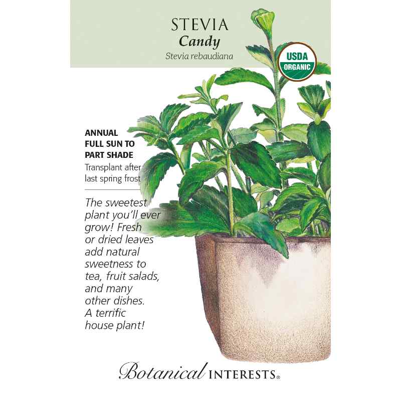 seed pack with drawing of stevia plant in container