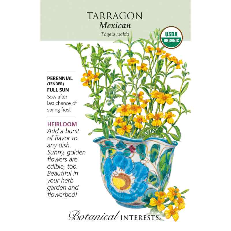 image of seed packet with a drawing of a colorful floral design ceramic vase planted with a tarragon plant, with tall stems and thing pointed leaves and small yellow orange blooms.  logo and seed info in black type.  USDA organic logo in upper right corner