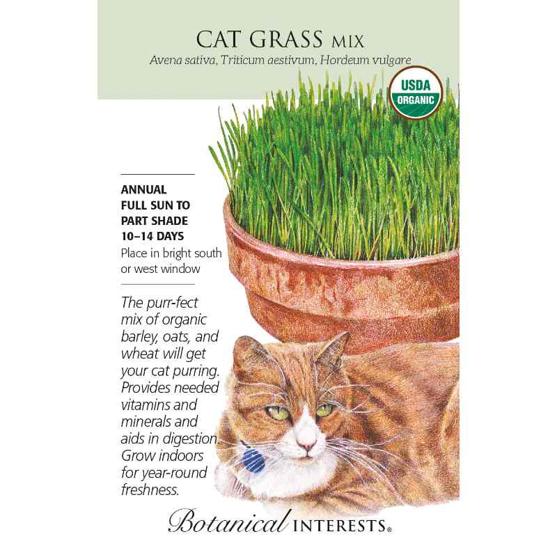 seed pack with drawing of a cat lying in front of a pot of cat grass