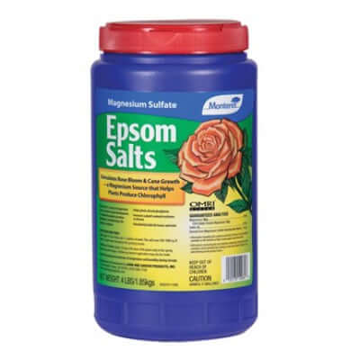 round blue plastic bottle with red lid and green and yellow label with drawing of pink rose