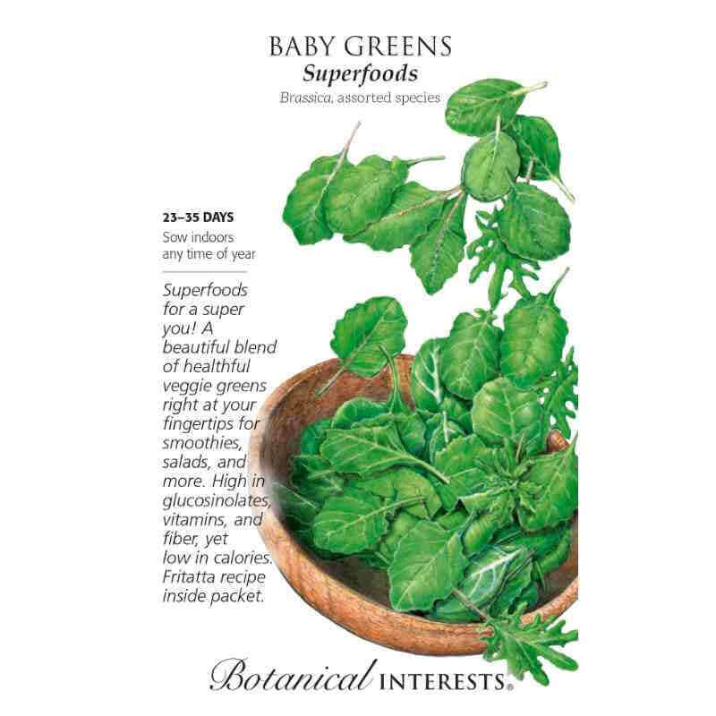 image of seed packet with a drawing of a wooden salad bowl being filled with a mix of different types of greens, from oblong and oval to long and lobed.  logo and seed packet info in black type