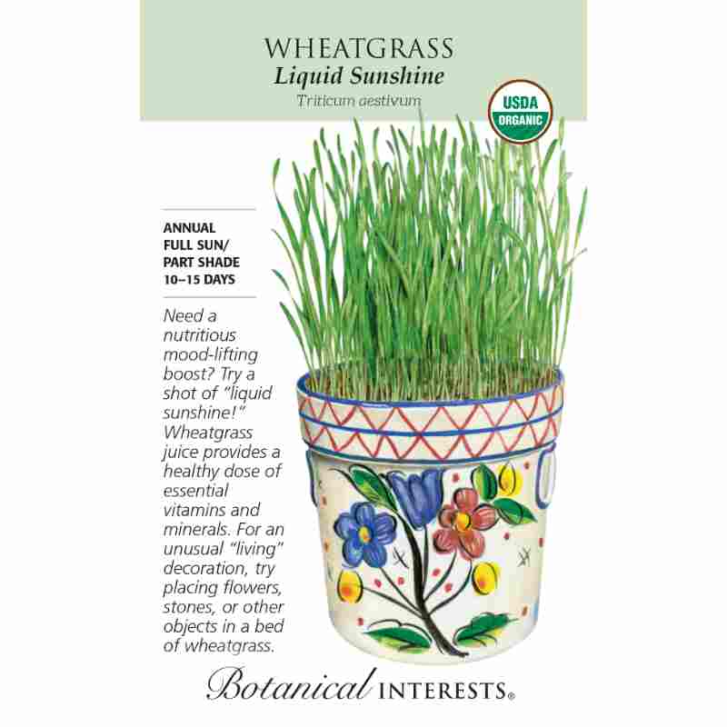 image of seed packet with a drawing of a round painted ceramic pot with floral design planted full of wheatgrass.  logo and seed packet info in black type. USDA organic logo in upper right corner