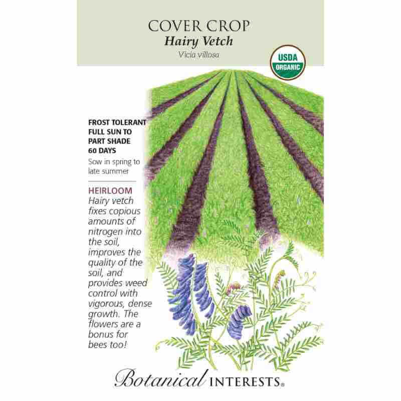 image of seed packet with drawing of a field of rows of green crops in dark soil.  drawing of plant with thin stems, tiny long leaves and purple small petals.  logo and seed packet info in black type.  USDA organic logo in upper right corner