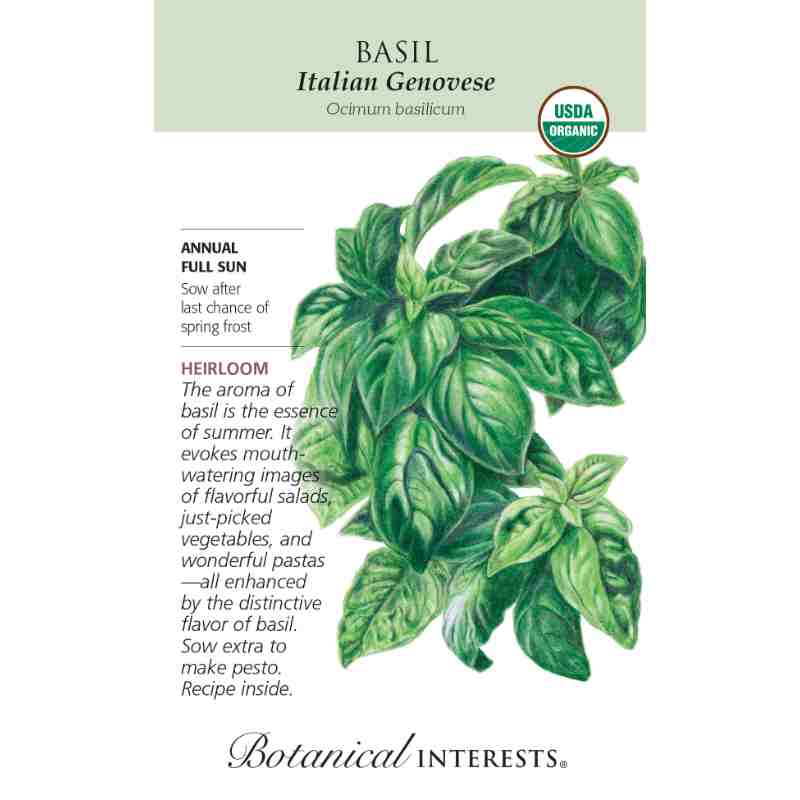 image of seed packet with a drawing of a basil plant with dark oblong pointed leaves with deep veining.  logo and seed packet info in black type.  USDA organic logo in upper right corner