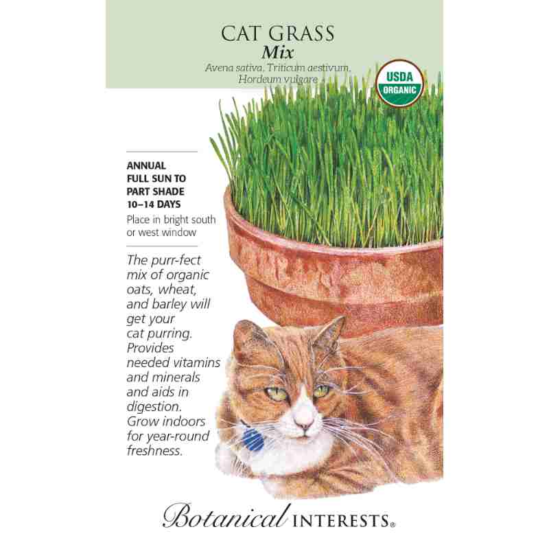 large seed pack with drawing of cat lying in front of a pot of cat grass