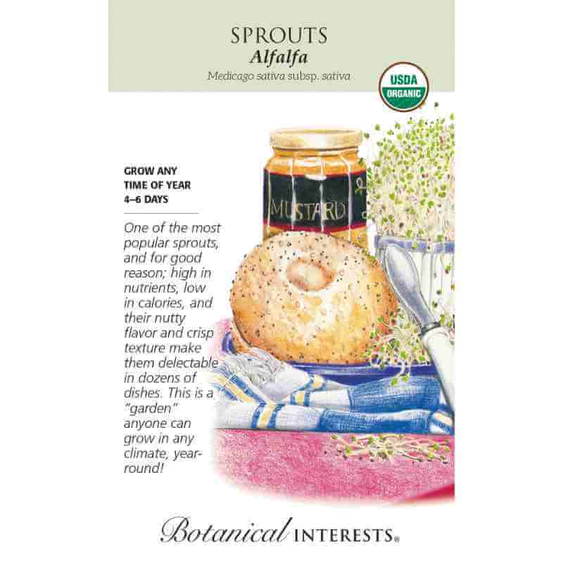 seed pack with drawing of bagel, sprouts and jar of mustard