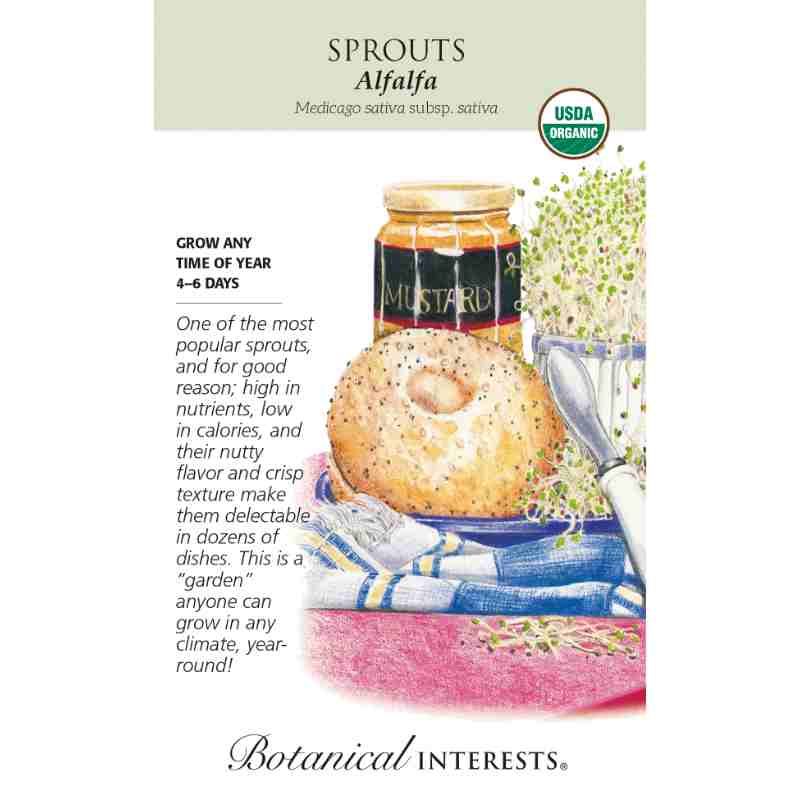 seed pack with drawing of bagel, sprouts and jar of mustard