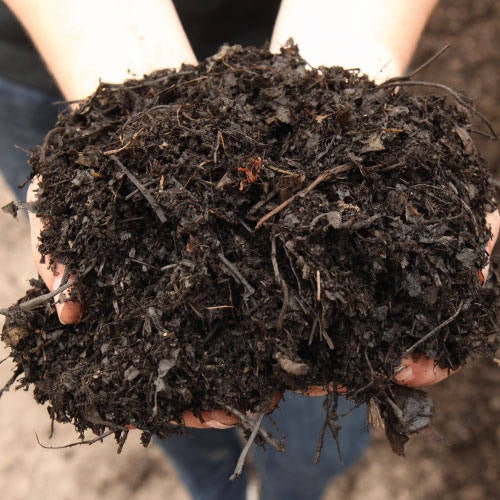 image of two hands holding a large bundle of leaf mulch---dark shredded leaves and stems