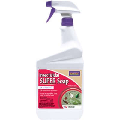 insecticidal soap label Bonide Insecticidal Super Soap