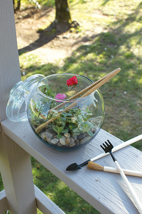 view of terrarium with Four Piece Terrarium Mini Tool Kit