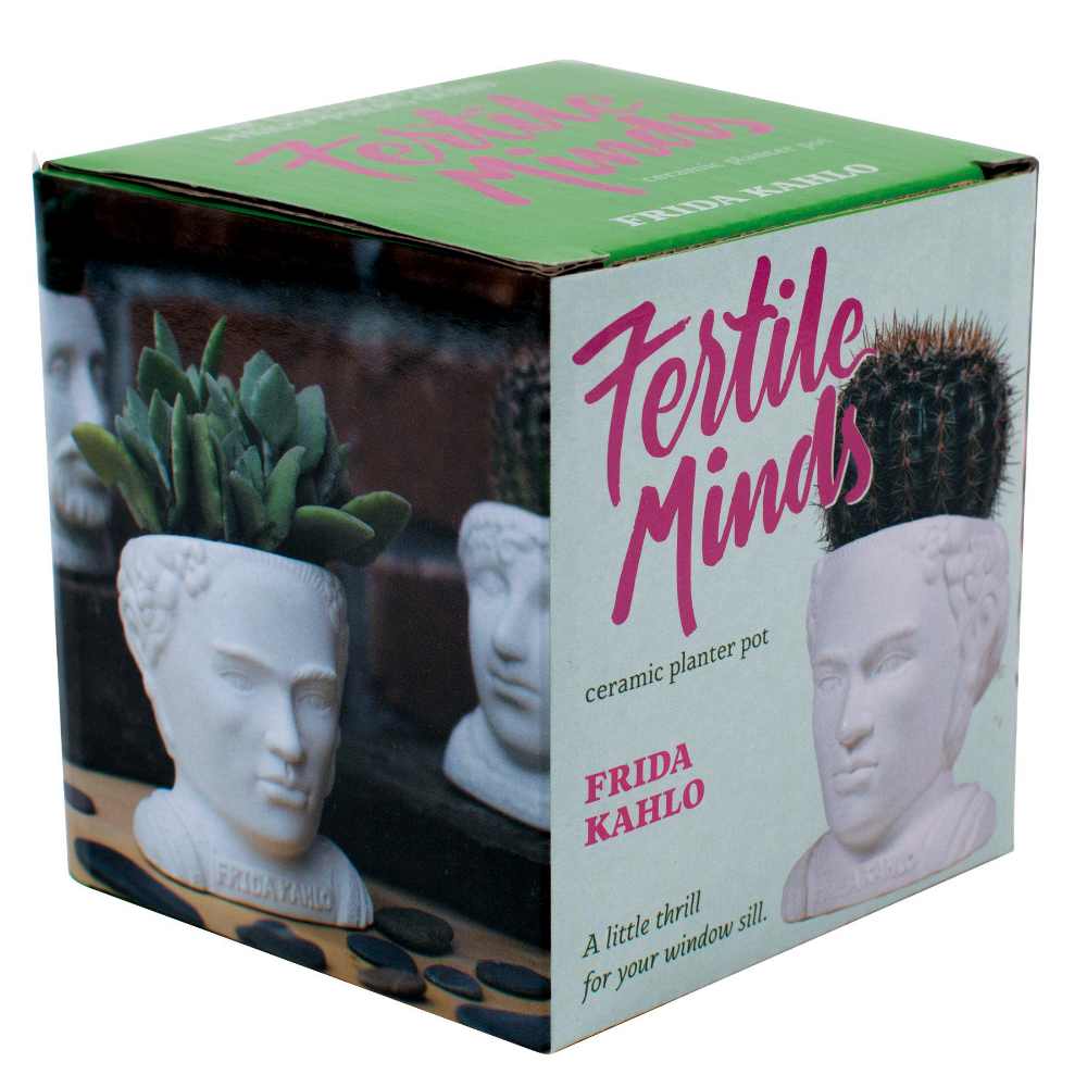 image of gift box that planter comes in , with an image a succulent plant in the planter on one side, and an image of the planter with a small cactus and the product information on the other side.