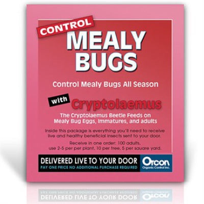 image of mail in card in red and pink with mealy bugs and cryptolaemus in larger type with other information in black and white type
