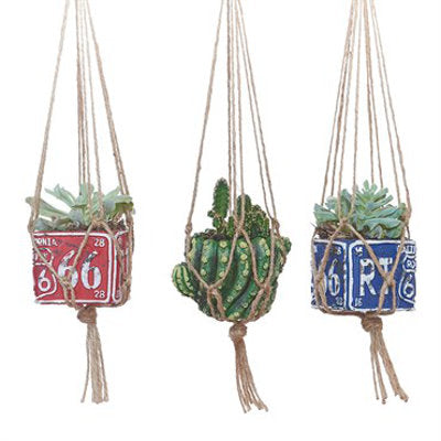 image of three small planters with plants in natural jute plant hangers