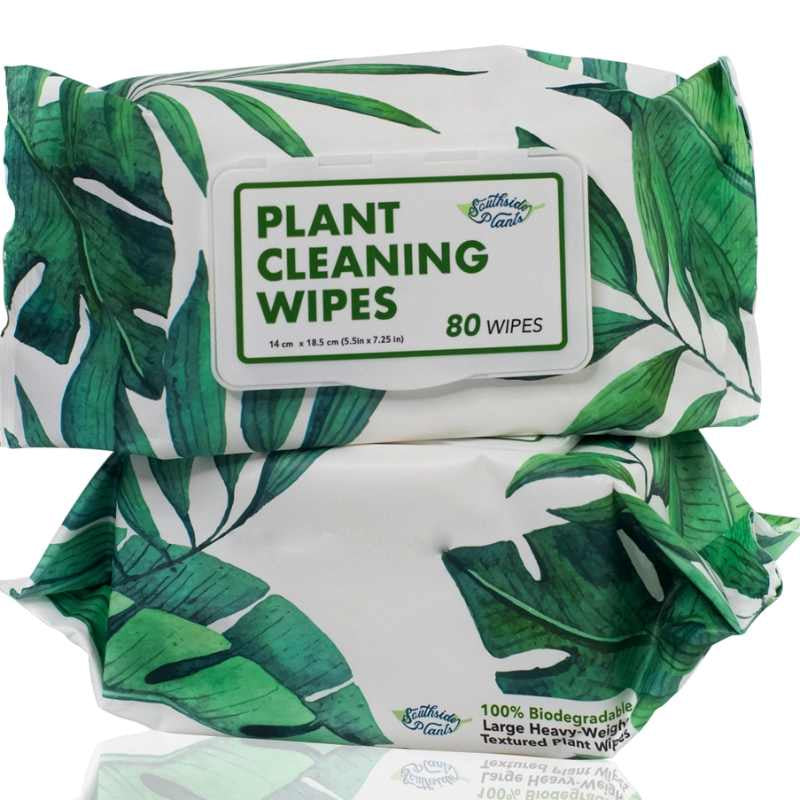 image of two pouches of plant cleaning wipes in white pouches with green leaves printed on them.