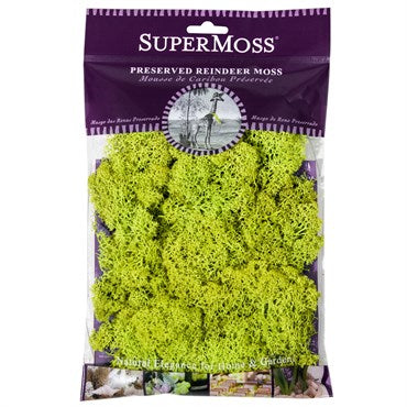 SuperMoss Reindeer Moss 2oz Bag