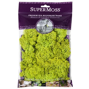 Bolsa SuperMoss Reindeer Moss 2 oz