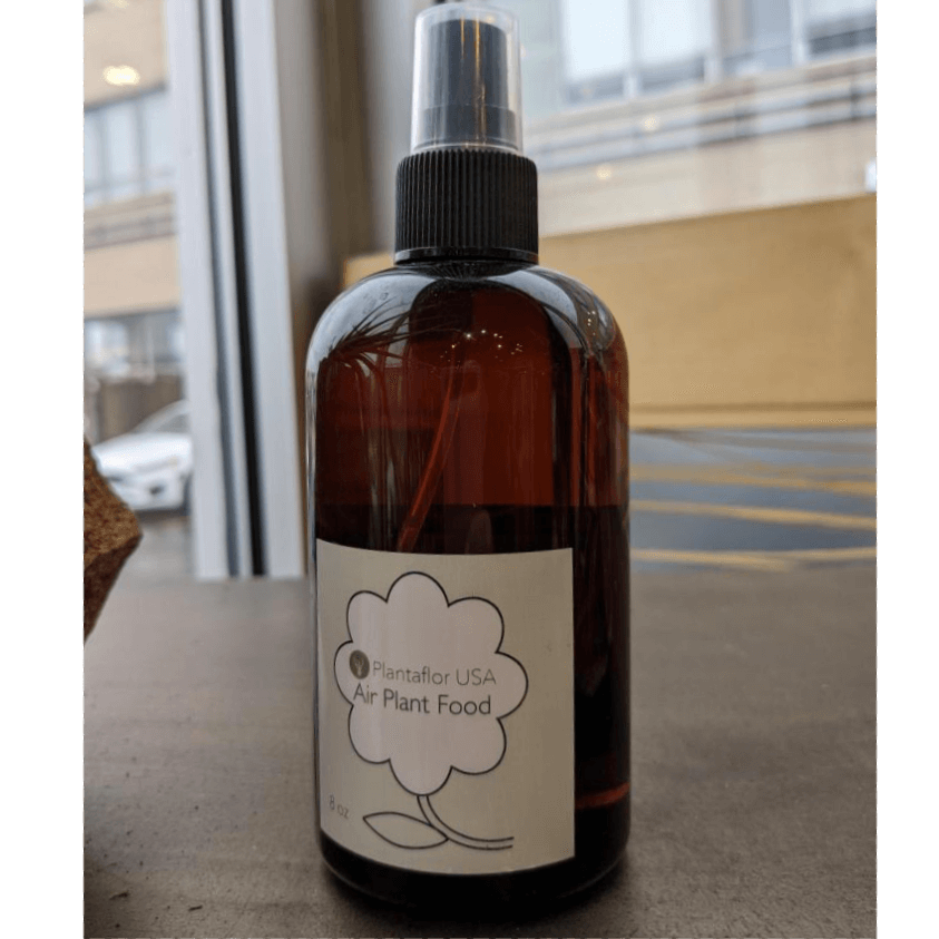 plant food for air plants Air Plant Food Tillandsia Fertilizer Spray 8 oz