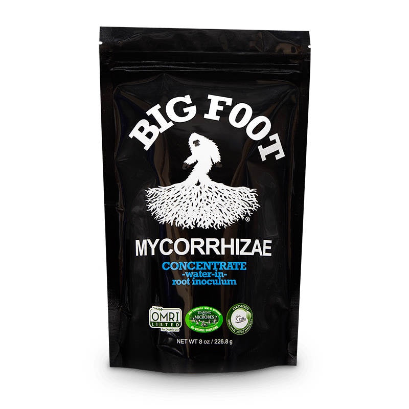 image of tall rectangular plastic pouch in black with big foot mycorrhizae written in white