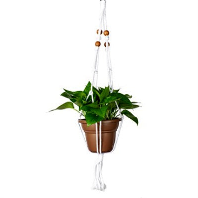 image of a white rope plant hanger with wooden bead accents at the top, holding a green foliage plant in a round brown pot