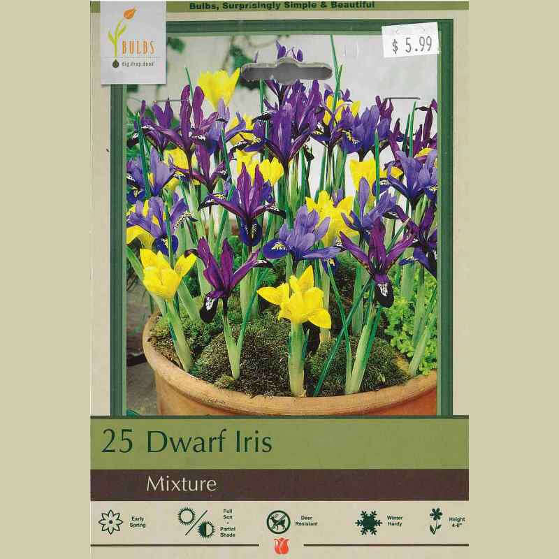 image of package label with several small narrow petaled blooms in purple and yellow