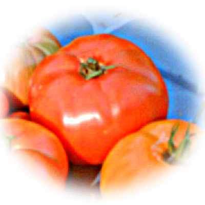 closeup image of red tomato