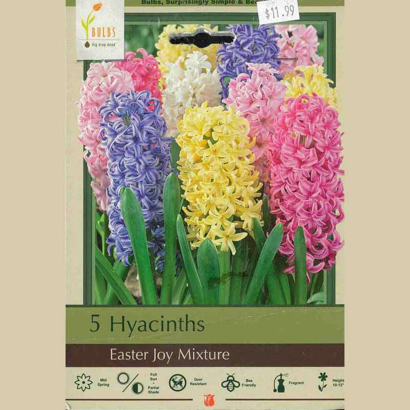 image of package label with photo of several multi blossomed hyacinth flowers in pink, yellow blue white and pale pink