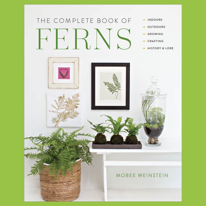 image of book cover showing a large fern in a straw basket on the left floor, with ferns in moss balls on a table to the right, and a tall glass jar with ferns.  Prints of ferns on wall behind