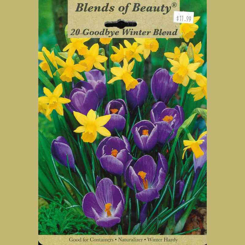 image of package label with image of several yellow narcissus and purple crocus