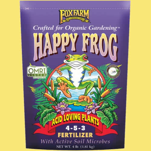 image of a rectangular bag in purple with a cartoon frog in the center and the words happy frog across the top