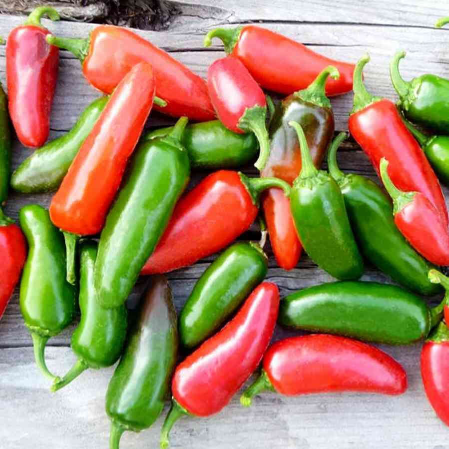 image of several oblong pepper fruits in dark green to scarlet red