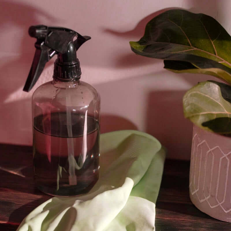 image of a clear spray bottle with a clear liquid sitting on a piece of cloth with a plant on the right.  In front of a light pink wall
