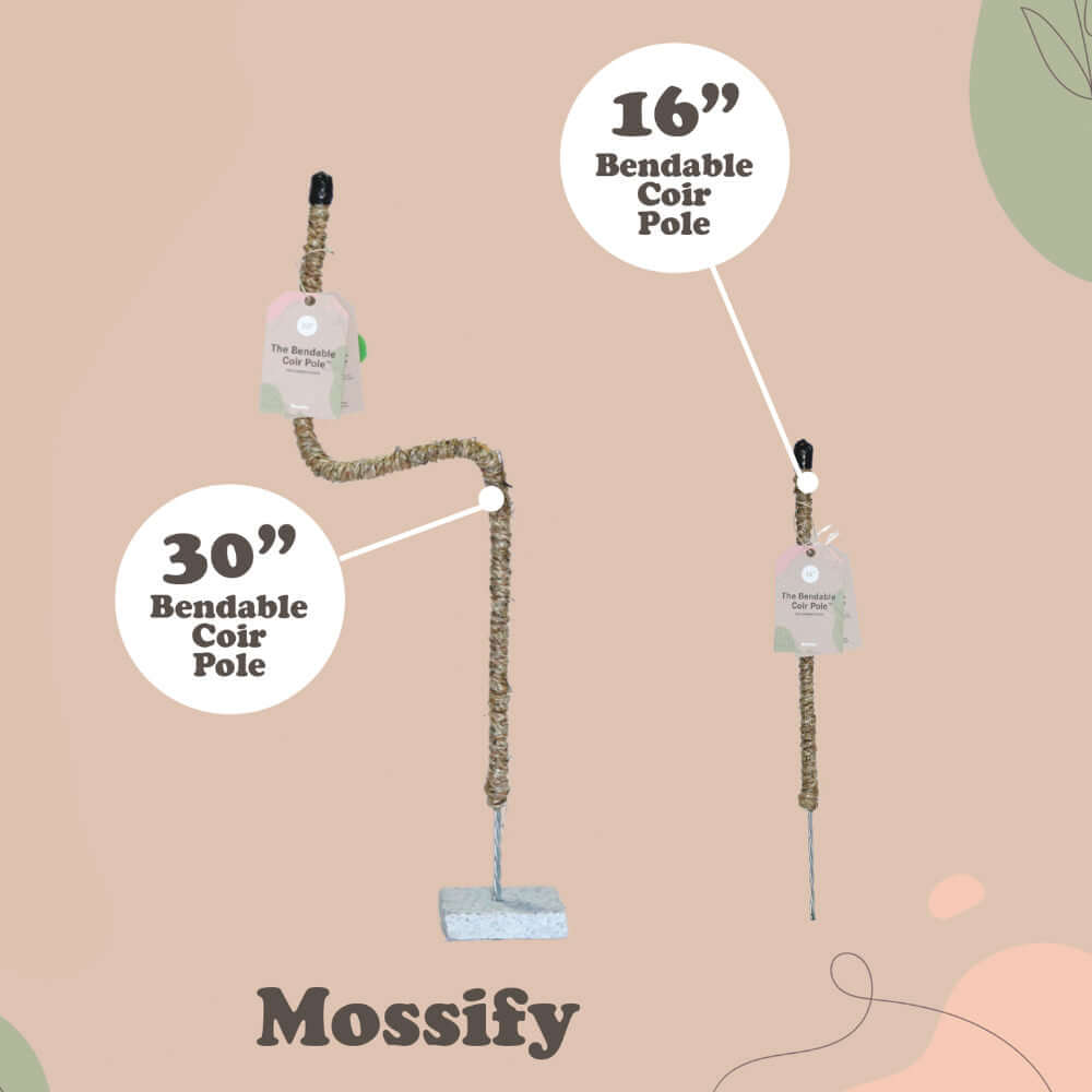 image of two moss poles.  One the left is the 30 inch one, bent with a label.  On the right is the 16 iche one with a label.  Mossify logo on the bottom