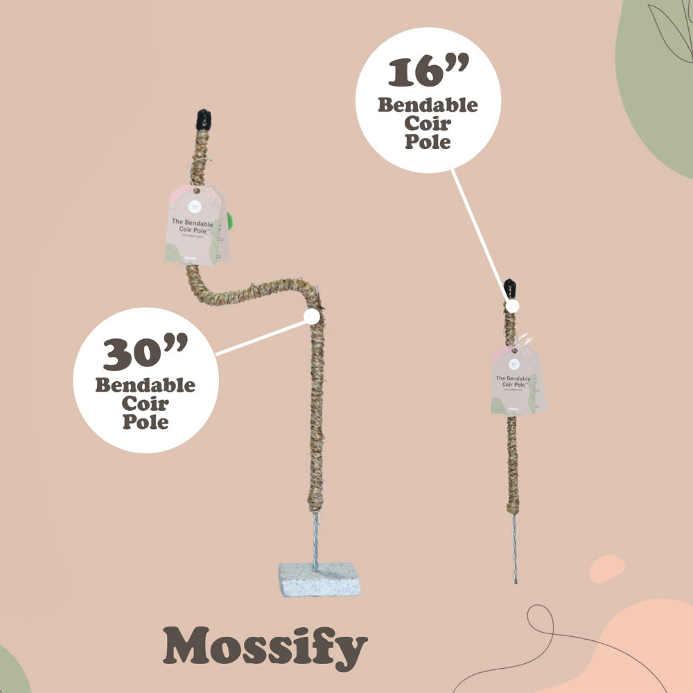 image of two moss poles.  One the left is the 30 inch one, bent with a label.  On the right is the 16 iche one with a label.  Mossify logo on the bottom