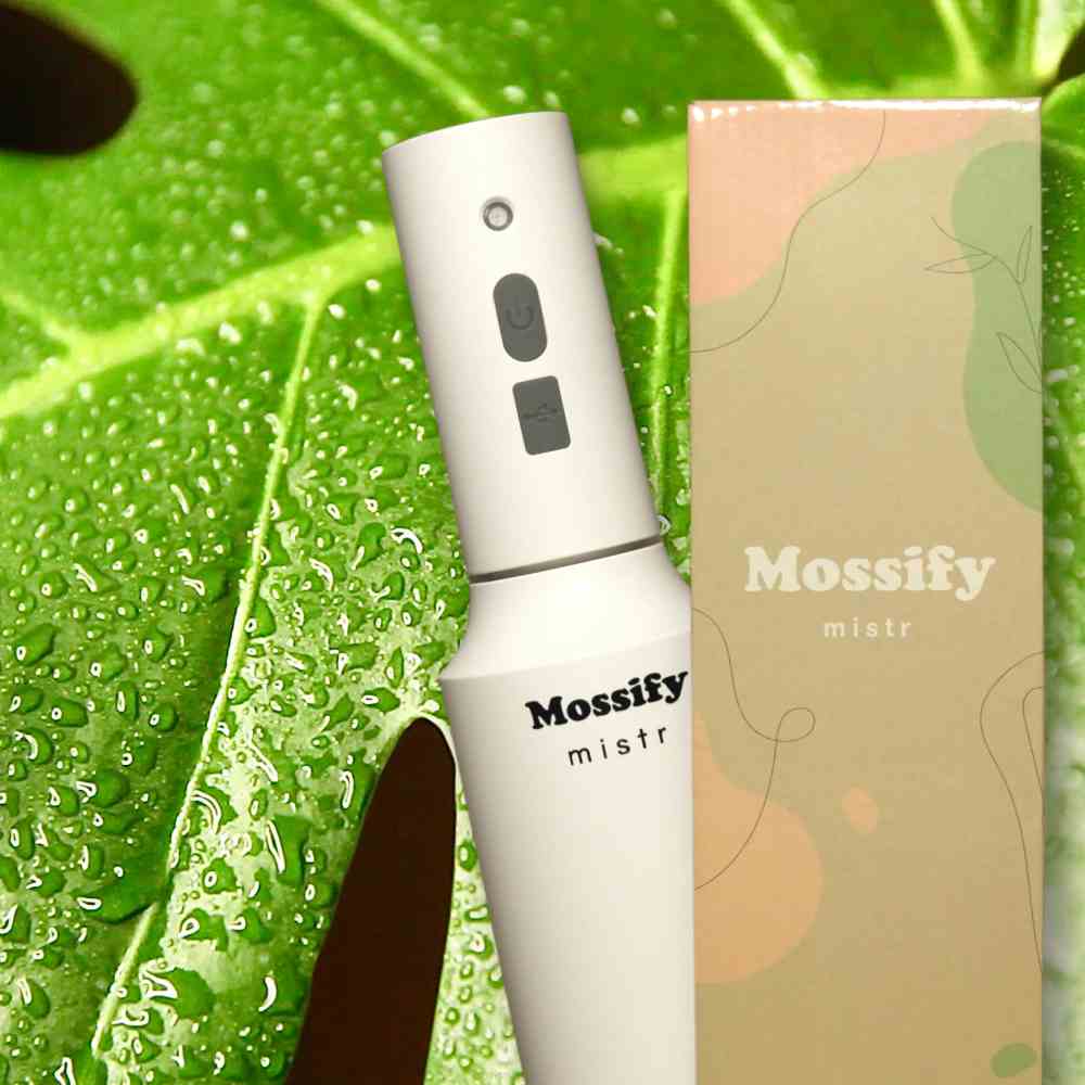 image of the mossify mister partially covered with its tan box, with a large monstera leaf covered in mist behind them