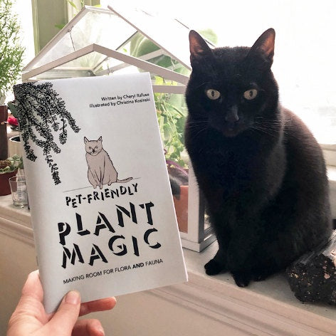 image o hand holding Plant Magic zine next to a black cat sitting on a shelf