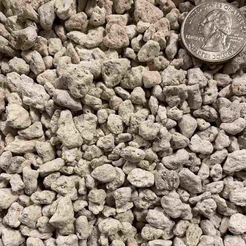 closeup photo of chunky off white/grey pumice with a quarter coin in the corner to show size comparison