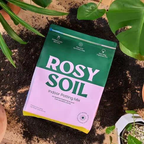 40l potting mix Indoor Peat-Free Houseplant Potting Mix