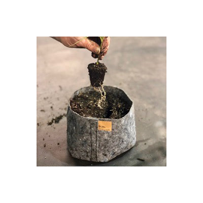 image of round canister shaped grey fabric grow pot with brown label