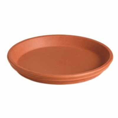 clay saucer in terra cotta color