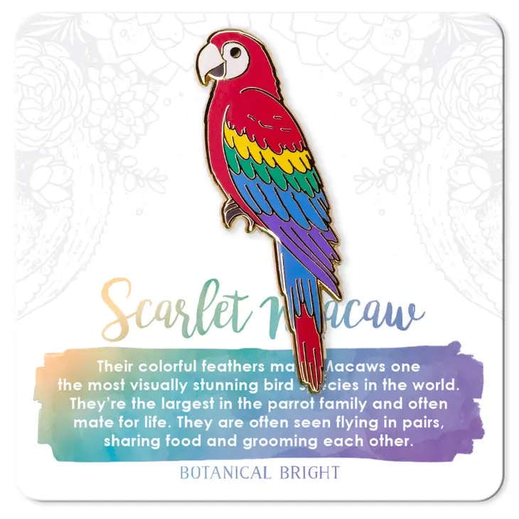 image of card with pin in the shape of a macaw bird in red, yellow, green blue and purple.  Description written in a soft purple and aqua